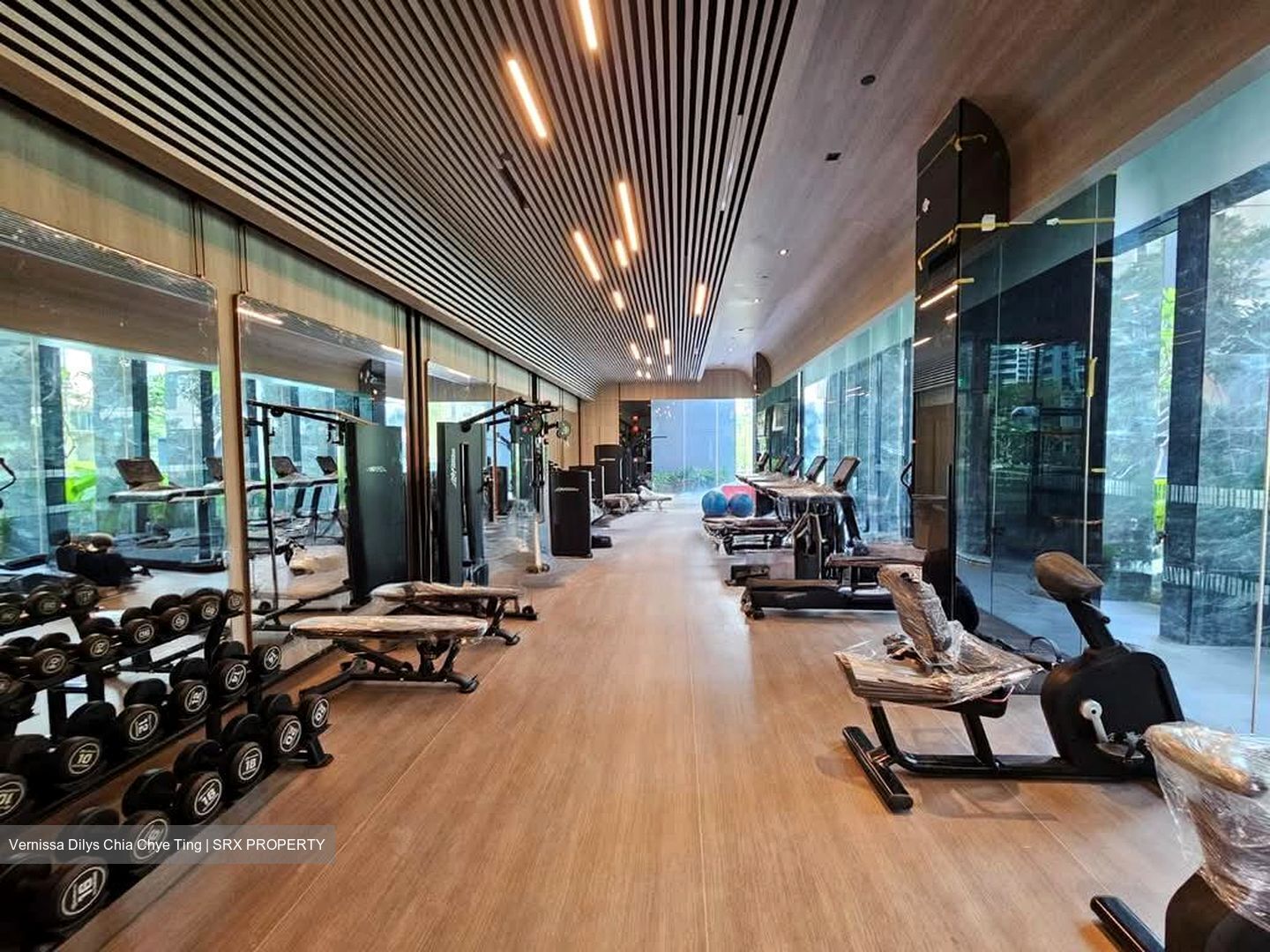 Leedon Green (D10), Condominium #558138491